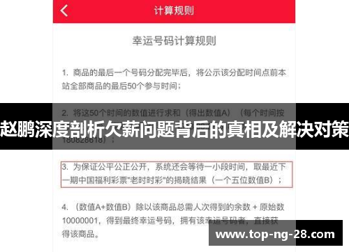赵鹏深度剖析欠薪问题背后的真相及解决对策
