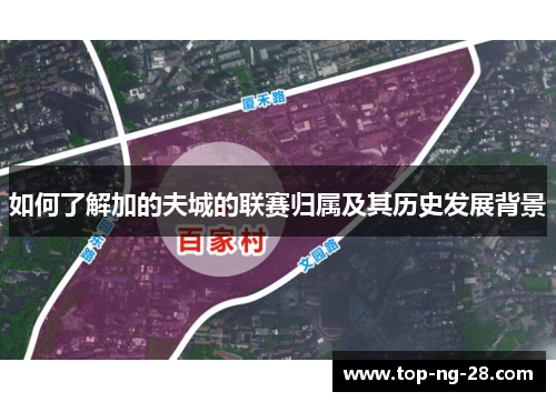 如何了解加的夫城的联赛归属及其历史发展背景